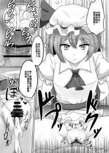 (C84) [Hakuginmokusei (Poshi)] Muchi Situ Assort (Touhou Project) [Chinese] [后悔的神官个人汉化] - page 12