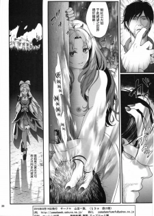 (C90) [Yamada Ichizoku. (Fukurokouji, Mokyu)] Seidorei Senki 3 (Go! Princess PreCure)[Chinese Translation] - page 25