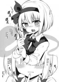 (Aka no Hiroba 17) [Poison Gray (Matsuriuta)] Juujun na Niwashi wa Osuki desu ka? - Do you Love Obedient Gardener? (Touhou Project) [Chinese] [草根妖怪汉化组] - page 6