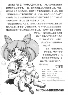 (C84) [Rat Tail (Irie Yamazaki)] TAIL-MAN SAILORMOON 5GIRLS BOOK (Bishoujo Senshi Sailor Moon) [Chinese] [不咕鸟汉化组] - page 33