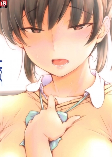 (C96) [UGC (Sasaki Akira)] Shinpai Shita Kare ga Ie made Okutte Kurete Ureshikatta kara Date de Chotto Daitan na Hibiki-san (Amagami) - page 26
