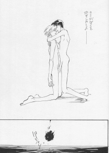 (C50) [Gekkou Touzoku (Nobi Nobita, Takahashi Mako)] Kinsei (Neon Genesis Evangelion) - page 48