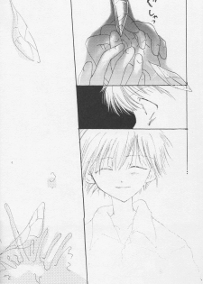 (C50) [Gekkou Touzoku (Nobi Nobita, Takahashi Mako)] Kinsei (Neon Genesis Evangelion) - page 19