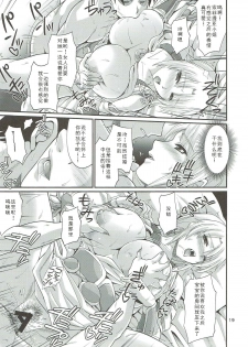 (C92) [ZviZva-Dan (Forester)] Ostrheinsburg Seijo Hitozuma Fudeoroshi Delivery (SoulCalibur) [Chinese] [如月響子汉化组] - page 19