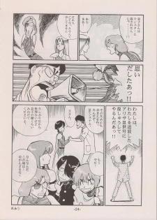 (C58) [Manga Doukou-kai (Tominaga Akiko)] PHANTASY STAR ALL!! 11 (Phantasy Star series) - page 24