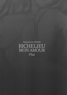 (C96) [OSTEREi (O)] RICHELIEU MON AMOUR Plat (Kantai Collection -KanColle-) - page 29