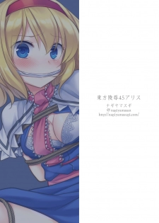 [Nagiyamasugi (Nagiyama)] Touhou Ryoujoku 45 Alice (Touhou Project) [Digital] - page 22