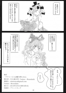 (例大祭16) (同人誌) [遊文亭] アヤミハビルは蝶の夢をみる (東方) (エロ) - page 17