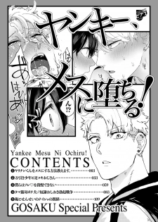 [Gosaku] Yankee, Mesu ni Ochiru! [Digital] - page 2