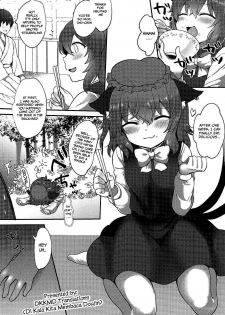(Meikasai 13) [Kingyo Origin (Kayama Rim)] Neko no Ongaeshi | A Cat's Repayment (Touhou Project) [English] [DKKMD Translations] - page 4