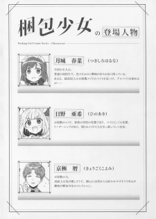 (C96) [Clochette (Sakura Yuki)] Konpou Shoujo 3 - page 3