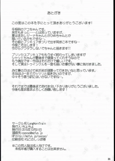 (C89) [LongHornTrain (CyoCyo)] Isekai Princess (Go! Princess PreCure, Suite PreCure) [chinese] [一色漢化組] - page 26