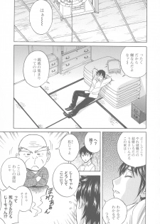 [Hidemaru] Irekawari Iremakuri - page 29