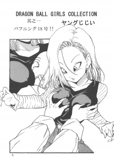 [Monkees (Young Jijii)] Dragon Ball Girls Collection 1 Fukkokuban (Dragon Ball Z) - page 4