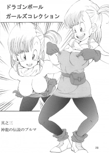 [Monkees (Young Jijii)] Dragon Ball Girls Collection 1 Fukkokuban (Dragon Ball Z) - page 29