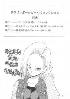 [Monkees (Young Jijii)] Dragon Ball Girls Collection 1 Fukkokuban (Dragon Ball Z) - page 3