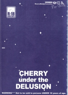 [Sadistic Mary (Hattori Mitsuka)] CHERRY under the DELUSION (Bleach) - page 3