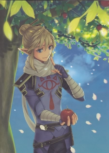 (ALL STAR 9) [MYLAB (Shiroa Urang)] βLupi (The Legend of Zelda) - page 19