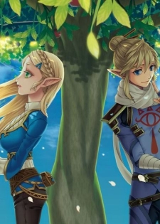 (ALL STAR 9) [MYLAB (Shiroa Urang)] βLupi (The Legend of Zelda) - page 2