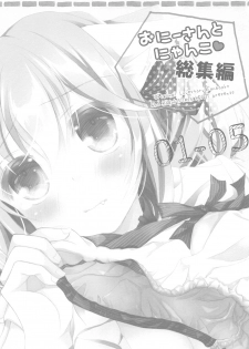 (COMIC1☆13) [TWIN HEART (Kaduki Ryo)] Onii-san to Nyanko Soushuuhen - page 2