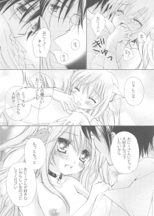 (COMIC1☆13) [TWIN HEART (Kaduki Ryo)] Onii-san to Nyanko Soushuuhen - page 25