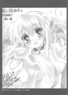 (COMIC1☆13) [TWIN HEART (Kaduki Ryo)] Onii-san to Nyanko Soushuuhen - page 28