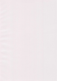 (C52) [WARHEADS (Kouwa, MDG)] Kindai Codomore Original - page 4