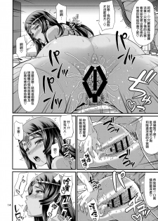 (C96) [Zvizva-Dan (Forester)] Sessyoinshiki Chaldea Hokan Keikaku (Fate/Grand Order) [Chinese] [无毒汉化组] - page 15