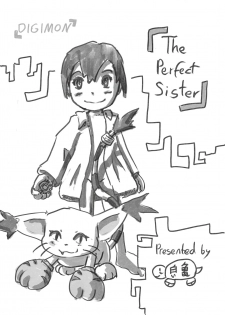 [Shiroi Kame] The perfect Sister (Digimon Adventure) - page 1