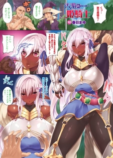 [Anthology] Bessatsu Comic Unreal Color Comic Collection 6 side_R [Digital] - page 17