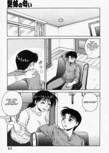 [Akihiko] H na Onegai | Sex Please [English] [Amoskandy] - page 46