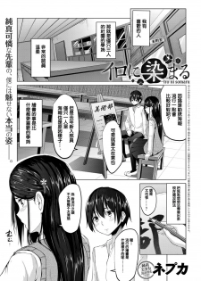 [Nepuka] Iro ni Somaru (COMIC Anthurium 2017-12) [Chinese] [Digital] - page 1