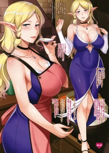 [Honda Naoki] Jitaku Keibiin na Ore no Netoge Yome wa Kyonyuu de Elf - page 25