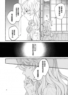 (Kouroumu 15) [Hosikuz Dolce (Kayako)] Happy End Standard (Touhou Project) [Chinese] [主角组吧汉化] - page 17