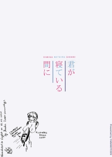 (C95) [Yamanotesen (Mirei)] Kimi ga Neteiru Aida ni | As You Are Asleep (Touhou Project) [English] [Yuuka Lover] - page 14