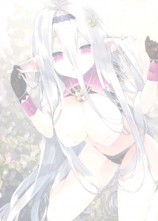 (C97) [ActiveMover (Arikawa Satoru)] Secret Garden Plus II (Flower Knight Girl) - page 2