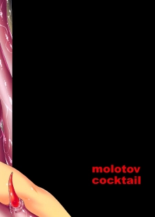 (C81) [Molotov Cocktail (Oowada Tomari)] monster's pet (Dragon Quest V) [English] [q91] - page 27