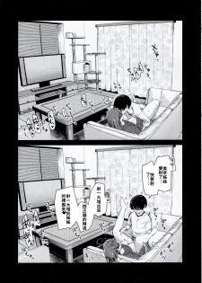 (COMITIA131) [Shin Hijiridou Honpo (Hijiri Tsukasa)] Pet Mimamori Camera ni Ane to Otouto no Sex ga Utsutteta. | 寵物監控拍到了姊姊與弟弟做愛的畫面。 [Chinese] [禁漫漢化組] - page 27