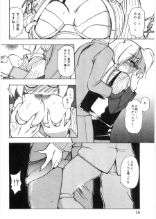 [Mizutani Mint] Koutaku Kyaku - page 28