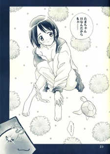 [Rocket Kyoudai] Naru Naru (Love Hina) - page 21