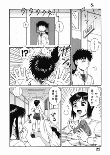 [Akihiko] H na Rakuen Bishoujo Koukan Nikki - page 22