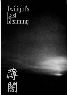 [DPP] usuyami Twillight's Last Gleaming (nadesico) - page 3