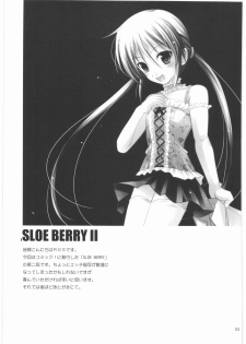 [R-WORKS] SLOE BERRY II (Hayate no Gotoku!) - page 2