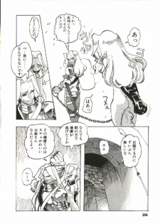 [Tenpuu Mitsunari] Bizarre Daimajutsu - page 27