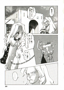 [Tenpuu Mitsunari] Bizarre Daimajutsu - page 26