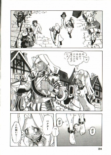 [Tenpuu Mitsunari] Bizarre Daimajutsu - page 25