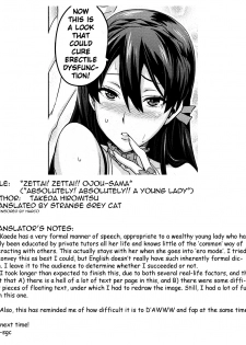 [Takeda Hiromitsu] Zettai! Zettai!! Ojou-sama (COMIC Megastore 2009-09) [English] [Strange Grey Cat] [Decensored] - page 29