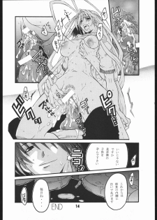 (C67) [AXZ (Harukaze Koucha, Miyaji Akira)] UNDER FIRE-D Kanzenban (Tenjou Tenge) - page 15