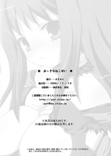 (C75) [AZA+ (Yoshimune)] Okkina Neko Pai (Final Fantasy XI) - page 27