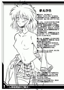 (C68) [MACCHO DANDY (Katsuo)] ~Nyou Shorika no Goannai~ (Super Robot Wars) - page 2